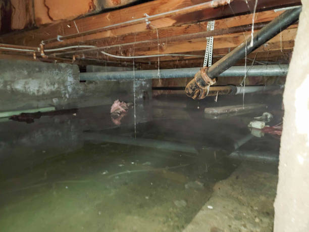 Best Fire Damage Restoration  in Slaughterville, OK