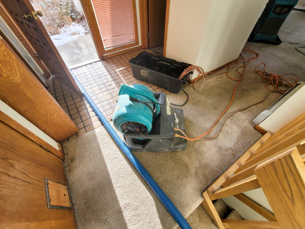 Best Ceiling water damage repair  in Slaughterville, OK