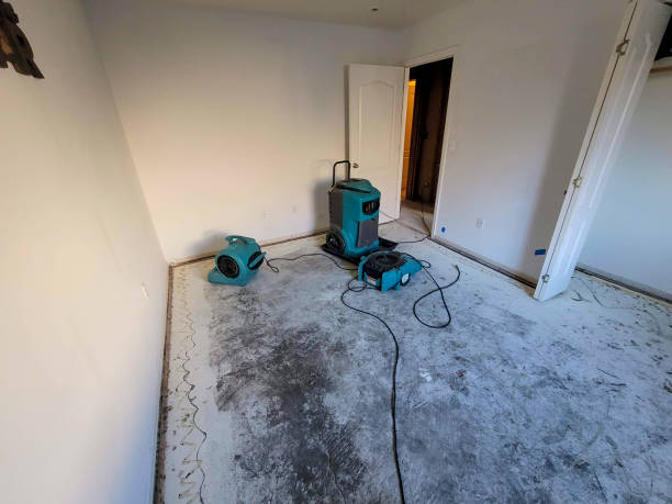 Best Emergency water damage restoration  in Slaughterville, OK