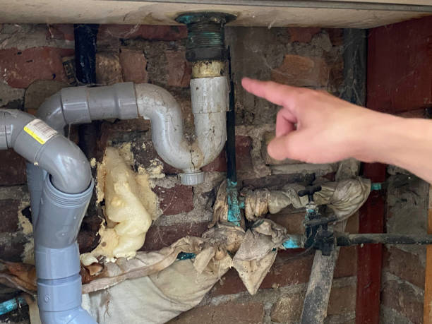 Best Professional water damage repair  in Slaughterville, OK